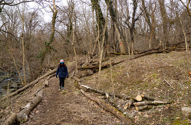 Sophie Phillips, volunteer